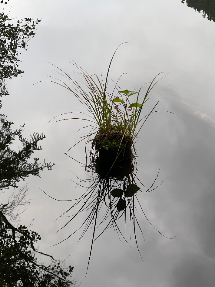 Yoga Piburgersee Kreativität